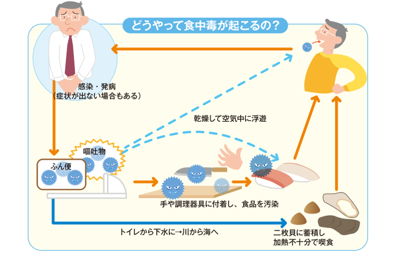 ノロウイルス 症状